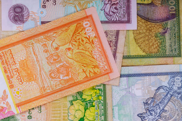 What is the Best Currency to Take to Sri Lanka?