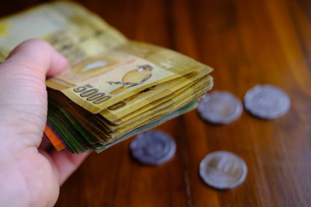 What is the Best Currency to Take to Sri Lanka?